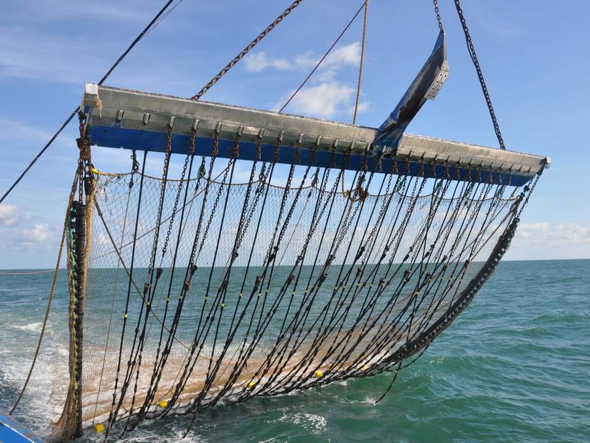 Pulswing. Foto: Wageningen Marine Research