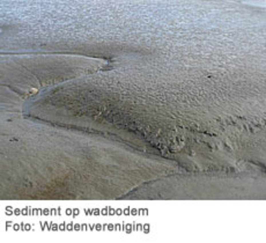 Sediment op wadbodem (Foto: Waddenvereniging)