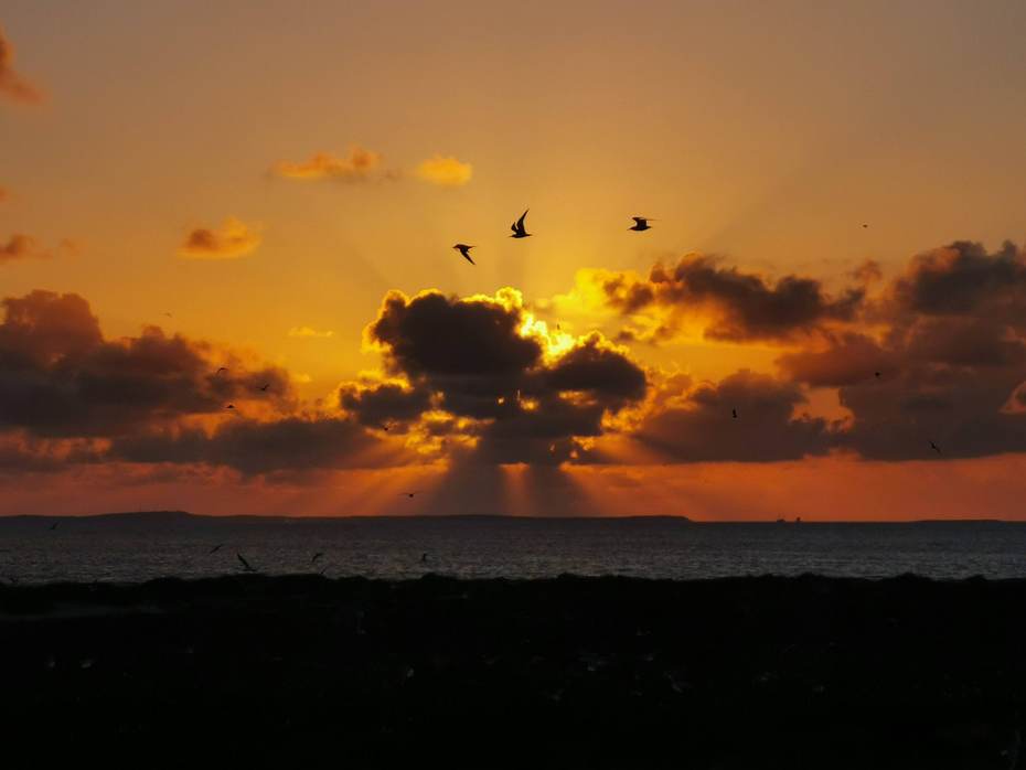 Zonsondergang boven Vlieland. Foto: Thea Smit