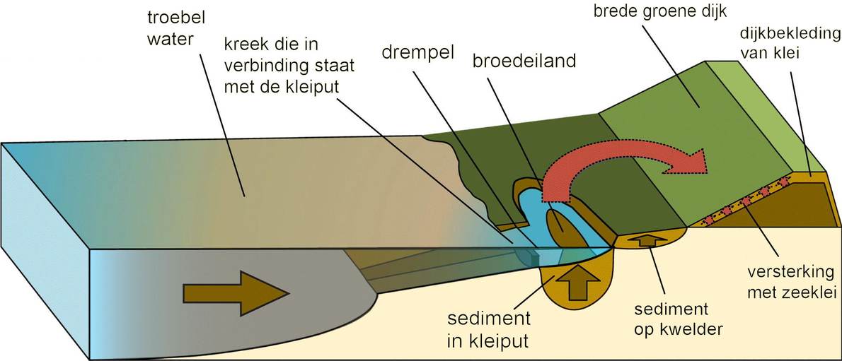 Een schematische doorsnede van het brede groene dijk concept en de verschillende onderdelen. Bron: Marijnissen et al.