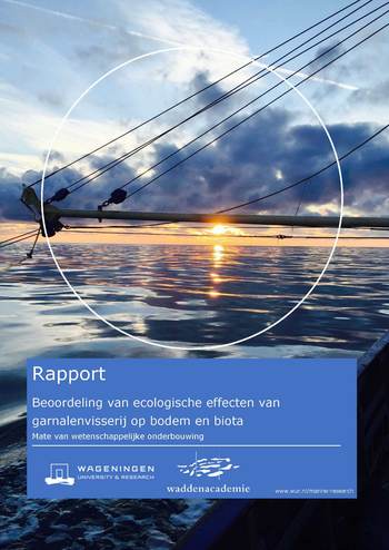 Cover rapport Beoordeling van ecologische effecten van garnalenvisserij op bodem en biota