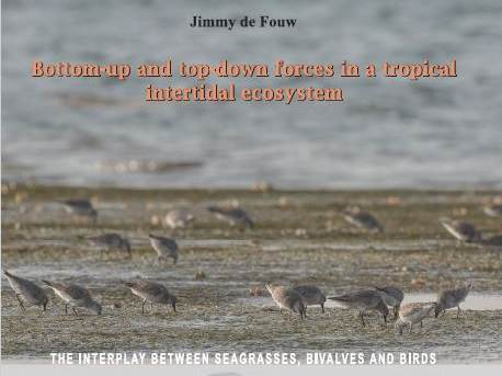 Cover thesis Jim de Fouw