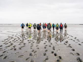 Wadlopers. Foto: Wing