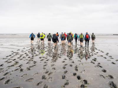 Wadlopen. Foto:Wing