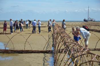 Symposiumdeelnemers bezoeken het Wadland project. Foto: Zwanette Jager