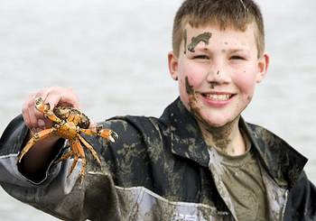 Foto: Waddenvereniging.