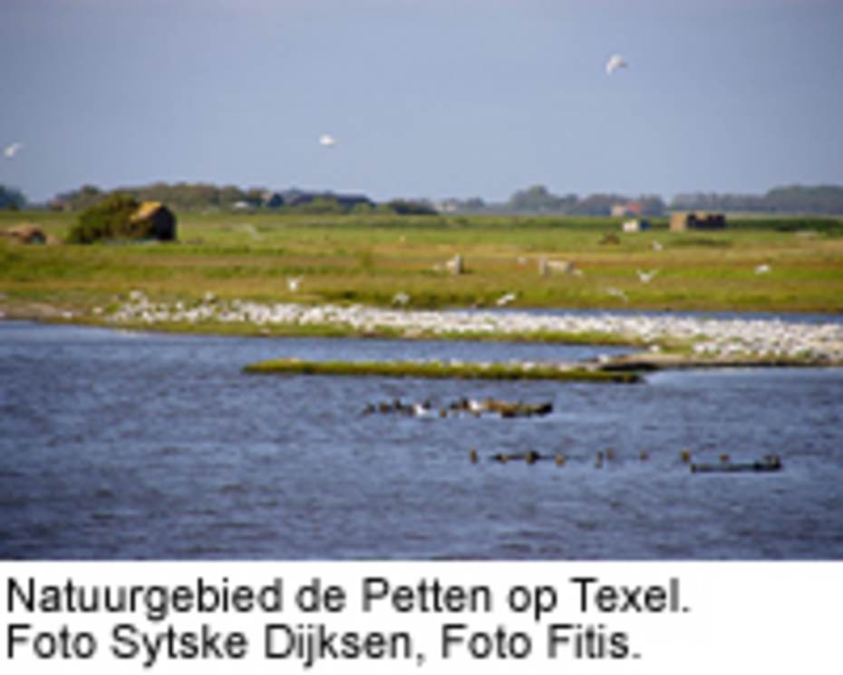 Natuurgebied de Petten op Texel. Foto Sytske Dijksen, Foto Fitis.