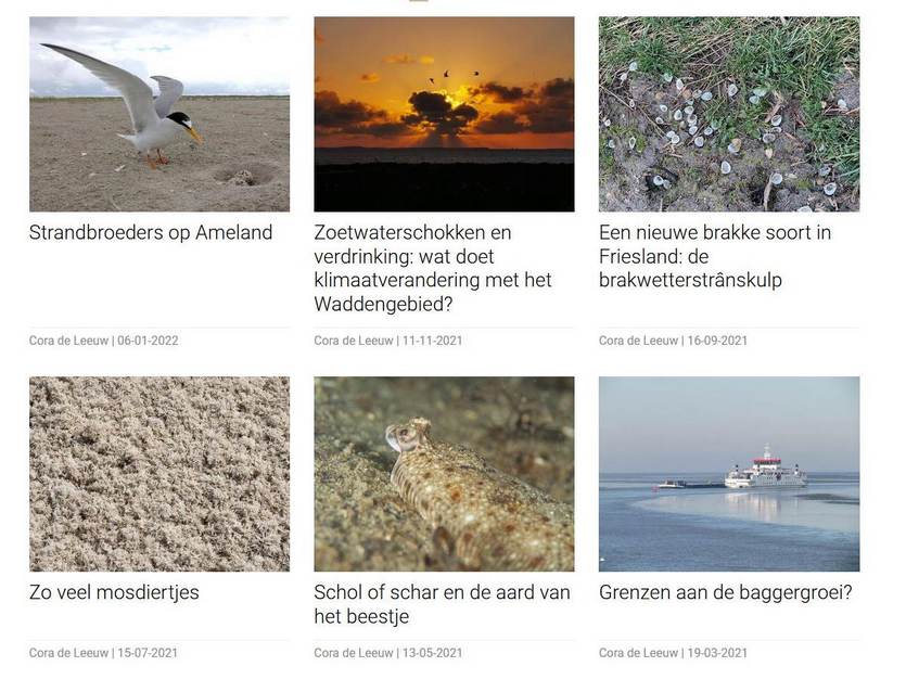 Selectie van de WadWetens van Cora de Leeuw