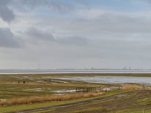 Zicht op de Dollard, op de grens tussen Nederlandse en Duitse Waddenzee. Foto: Beeldbank RWS, Harry van Reeken.