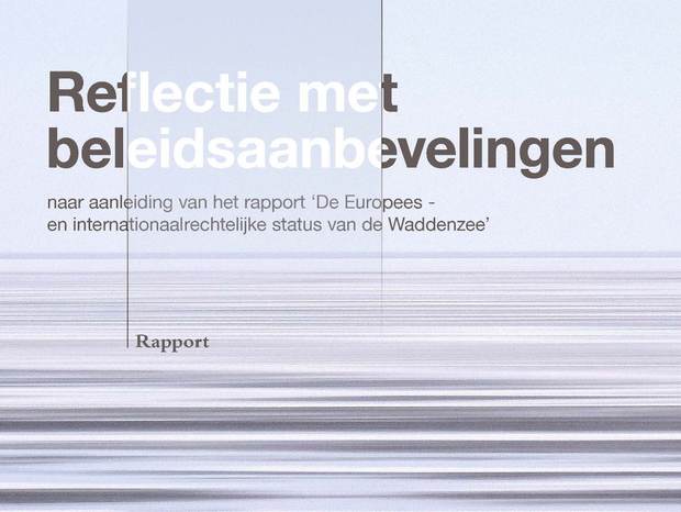 Coverbeeld Reflectie met beleidsaanbevelingen