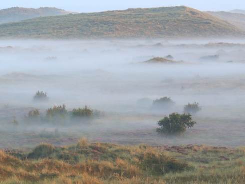 Duinlandschap op Terschelling in de mist. Foto: Martijn Schaftenaar via Pixabay