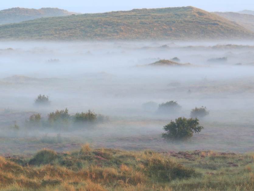 Duinlandschap op Terschelling in de mist. Foto: Martijn Schaftenaar via Pixabay