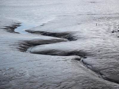 Het Wad bij eb in Ostfriesland. Foto: katermikesch via Pixabay
