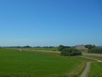 Landbouwgrond in de buurt van Franeker, in droge zomers bereikt het zoute water de oppervlakte. Foto: Pixabay