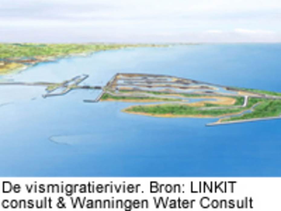 Vismigratierivier. Bron: LINKIT consult & Wanningen Water Consult (in opdracht van de Waddenvereniging, VBIJ, Sportvisserij Nederland en de Vereniging Vaste Vistuigen Noord)