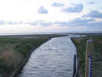 Zoet-zout overgang bij Zwarte Haan. Foto A&W.