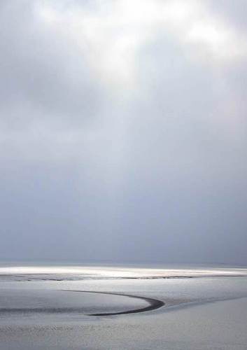 Preprint publicatie Juridische duiding van de ecologische staat van de Waddenzee