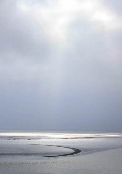 Preprint publicatie Juridische duiding van de ecologische staat van de Waddenzee