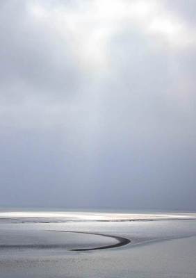 Preprint publicatie Juridische duiding van de ecologische staat van de Waddenzee