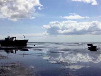 Beeld Cover visserij op de waddenzee in vogelvlucht. Foto: Willem Groenia