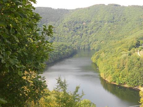 Nationaal park de Eifel. Bron: Wikimedia, Campinia88.