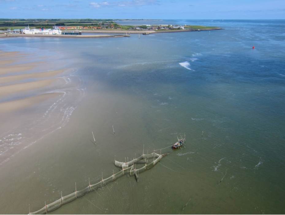 Luchtfoto van de NIOZ fuik. Foto: Lodewijk van Walraven.