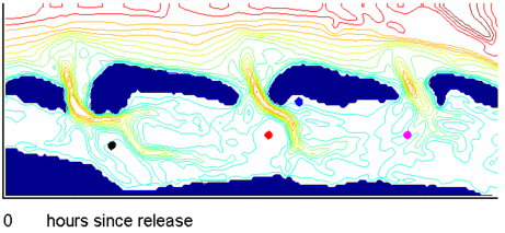 Een animatie waarin de beweging van sediment staat weergegeven dat op vier plekken wordt losgelaten in het Duitse waddengebied. Bij de blauwe deeltjes is goed te zien hoe volgens het model een deel ervan het wantij oversteekt. Bron: icbm.
