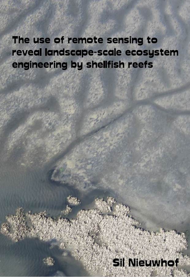 Cover thesis Sil Nieuwhof
