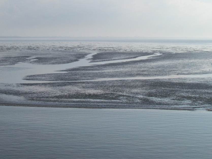 [Translate to english:] Special session The Wadden Sea ecosystem: Human impacts, management concepts and challenges for the future 