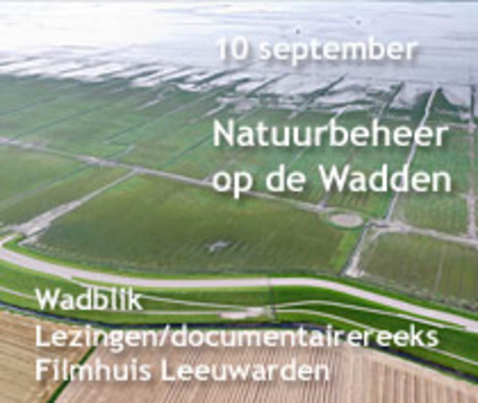 WadBlik 10 september