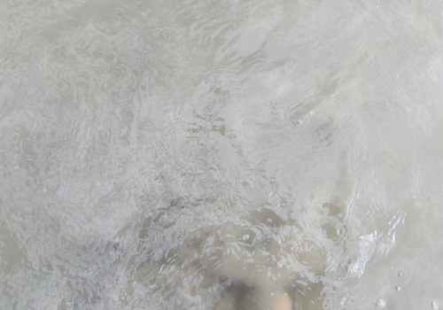 Troebel water in het Eems-Dollard gebied. Foto: Waddenacademie.