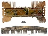Kammen uit de vroege Middeleeuwen, gevonden op de Wijnaldum-Tjitsma terp