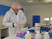 NIOZ medewerker Harry Witte treft voorbereidingen voor DNA analyse bruinviswonden. Foto Judith van Bleijswijk.