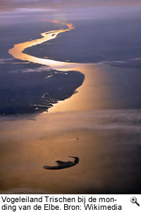 Vogeleiland Trischen bij de monding van de Elbe. Bron: Wikimedia