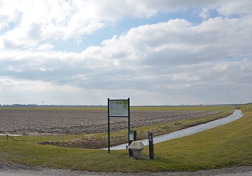 Akker langs de zeedijk bij Kloosterburen. Foto: Zwanette Jager.