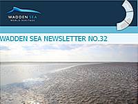 Cover newsletter