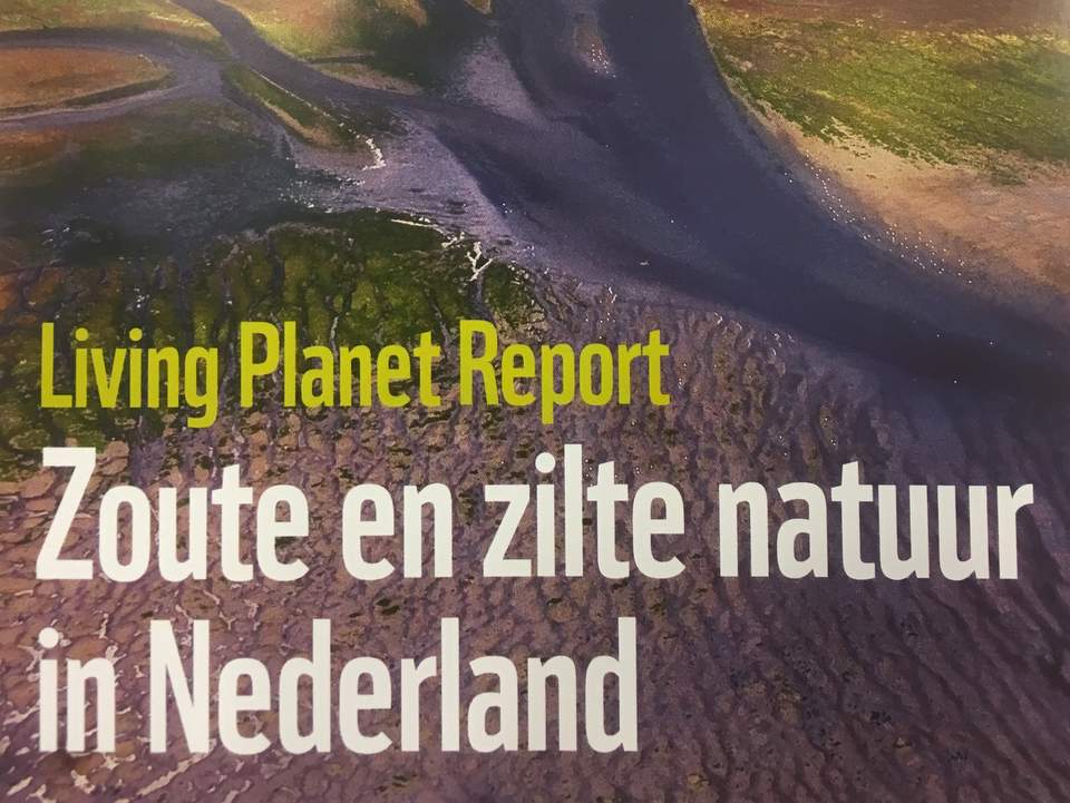 Living Report WNF 'Herstel natuur in delta helpt Nederland