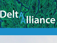 Logo Delta Alliance