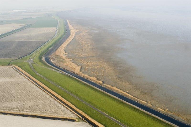 Kwelder bij Koehoal. Foto: https://beeldbank.rws.nl, Rijkswaterstaat/Joop van Houdt