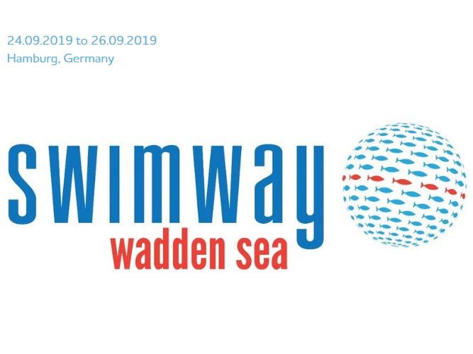 Swimway conference report available