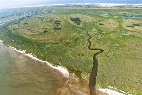 Boschplaat Terschelling. Foto: Beeldbank RWS, Joop van Houdt.