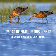 Cover boek Omdat de natuur ons lief is