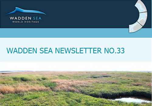 [Translate to english:] Cover