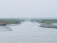 De dollard, foto: https://beeldbank.rws.nl, Rijkswaterstaat / Rob Jungcurt