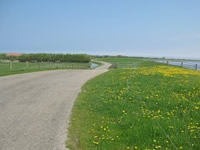 Dijk op Ameland. Foto: Thea Smit