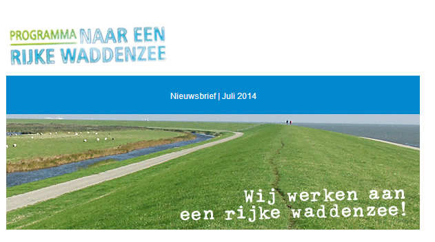 Header nieuwsbrief