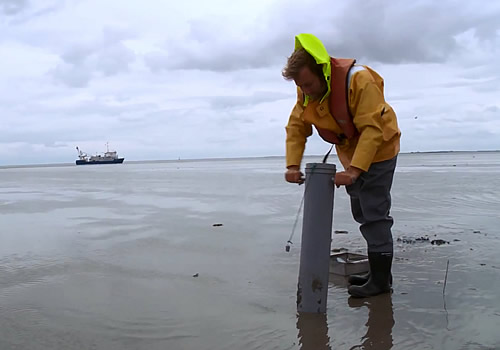 beeld uit youtube film over veldwerk SIBES