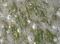 [Translate to english:] Foto: Beeldbank RWS